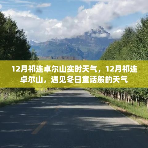 12月祁連卓爾山，冬日童話般的天氣實時報告