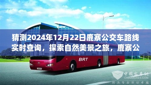 鹿寨公交路線新探秘，啟程2024年12月22日，探尋自然美景之旅實時查詢