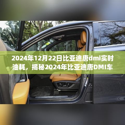 揭秘深度解析，2024年比亞迪唐DMI車型實(shí)時(shí)油耗解析