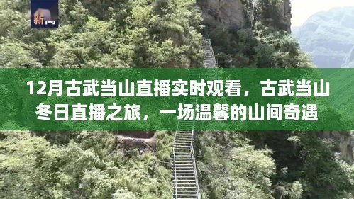 古武當山冬日直播之旅，探尋山間奇遇的溫馨之旅