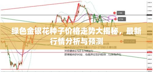 綠色金銀花種子價格走勢大揭秘，最新行情分析與預測