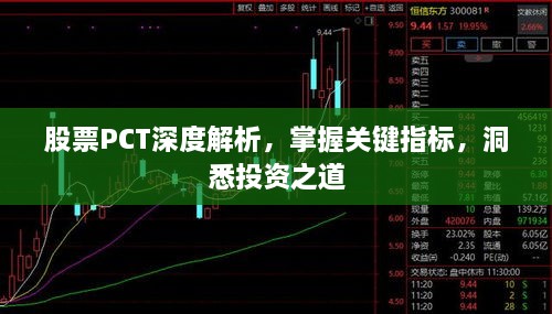 股票PCT深度解析，掌握關鍵指標，洞悉投資之道