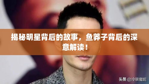 揭秘明星背后的故事，魚莽子背后的深意解讀！