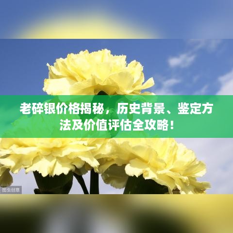 老碎銀價(jià)格揭秘，歷史背景、鑒定方法及價(jià)值評(píng)估全攻略！