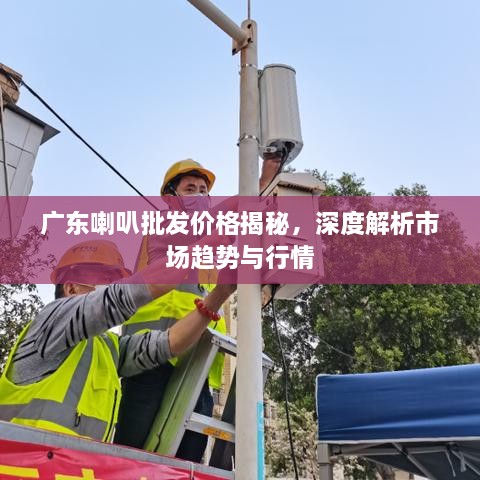 廣東喇叭批發(fā)價(jià)格揭秘，深度解析市場趨勢與行情
