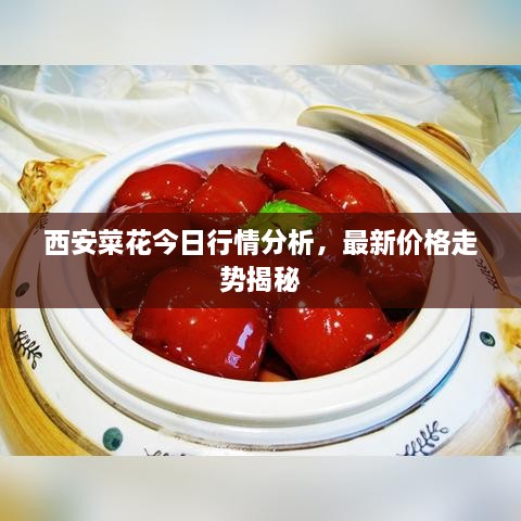 西安菜花今日行情分析，最新價(jià)格走勢(shì)揭秘