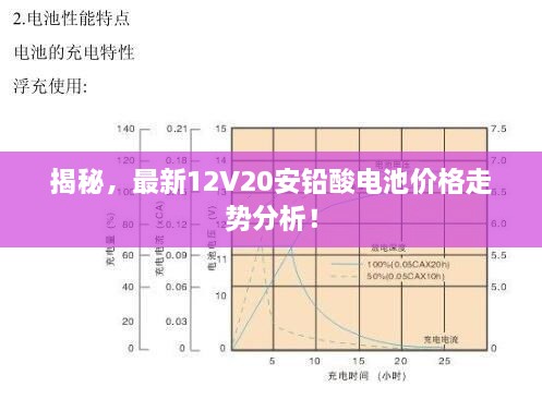 揭秘，最新12V20安鉛酸電池價格走勢分析！