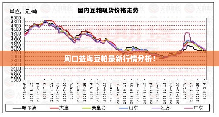 周口益海豆粕最新行情分析！
