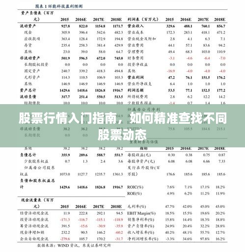 股票行情入門指南，如何精準查找不同股票動態(tài)