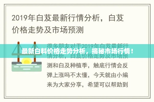 最新白料價(jià)格走勢(shì)分析，揭秘市場(chǎng)行情！