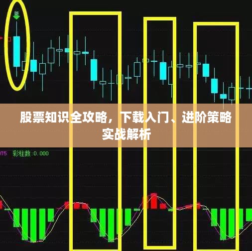 股票知識(shí)全攻略，下載入門、進(jìn)階策略實(shí)戰(zhàn)解析