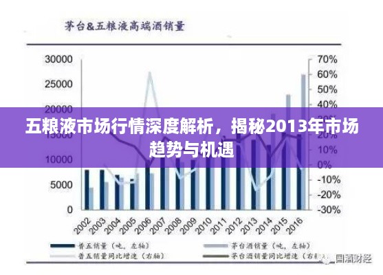 五糧液市場行情深度解析，揭秘2013年市場趨勢與機(jī)遇