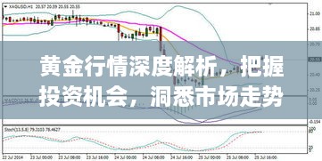 黃金行情深度解析，把握投資機會，洞悉市場走勢