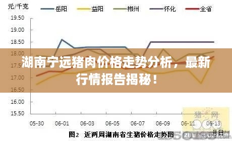 湖南寧遠(yuǎn)豬肉價(jià)格走勢分析，最新行情報(bào)告揭秘！