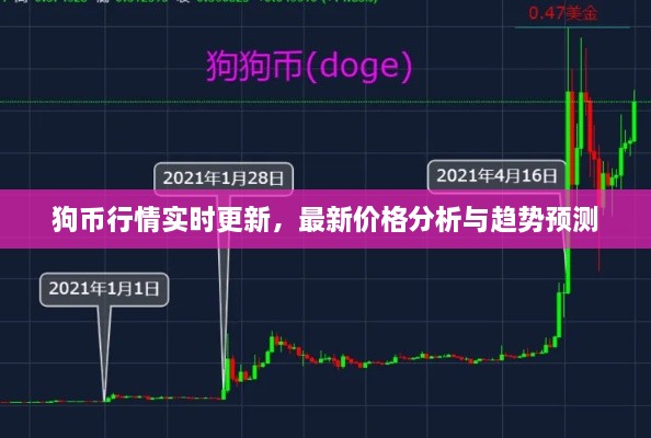 狗幣行情實(shí)時(shí)更新，最新價(jià)格分析與趨勢(shì)預(yù)測(cè)