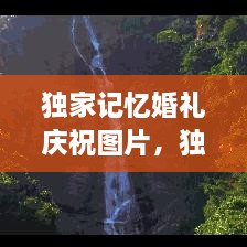 獨(dú)家記憶婚禮慶祝圖片，獨(dú)家記憶圖片唯美 