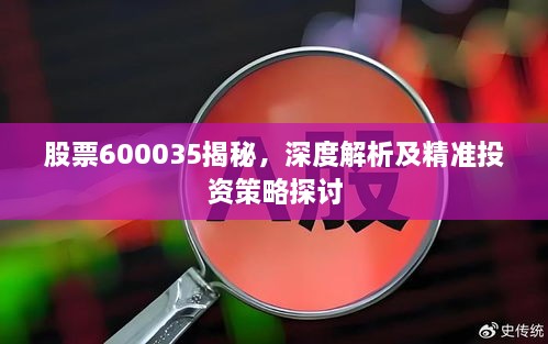 股票600035揭秘，深度解析及精準投資策略探討