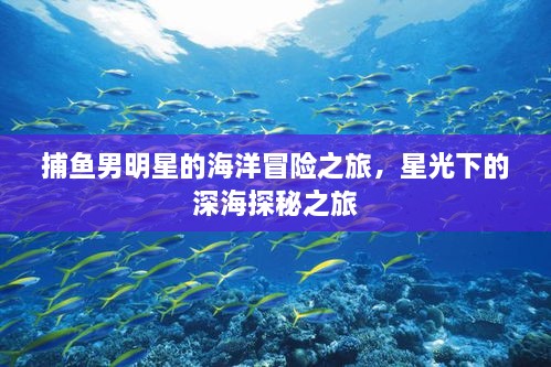 捕魚(yú)男明星的海洋冒險(xiǎn)之旅，星光下的深海探秘之旅