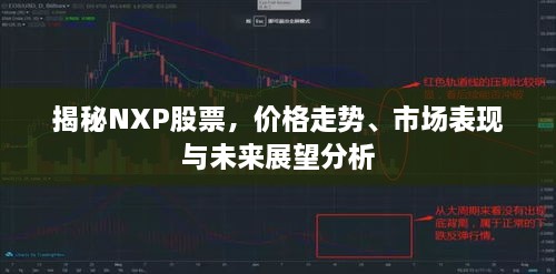 揭秘NXP股票，價格走勢、市場表現(xiàn)與未來展望分析