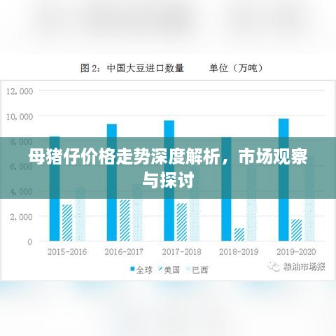 母豬仔價(jià)格走勢深度解析，市場觀察與探討