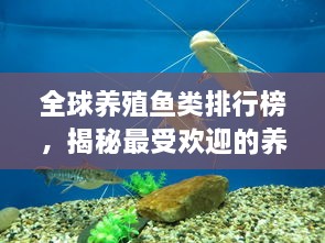 全球養(yǎng)殖魚類排行榜，揭秘最受歡迎的養(yǎng)殖魚類種類！