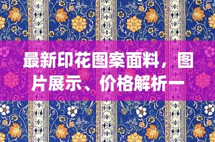 最新印花圖案面料，圖片展示、價(jià)格解析一網(wǎng)打盡