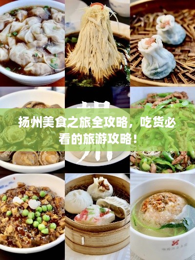 揚(yáng)州美食之旅全攻略，吃貨必看的旅游攻略！