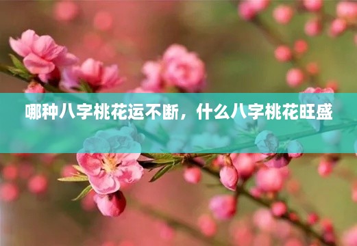 哪種八字桃花運不斷，什么八字桃花旺盛 