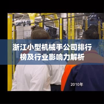 浙江小型機(jī)械手公司排行榜及行業(yè)影響力解析