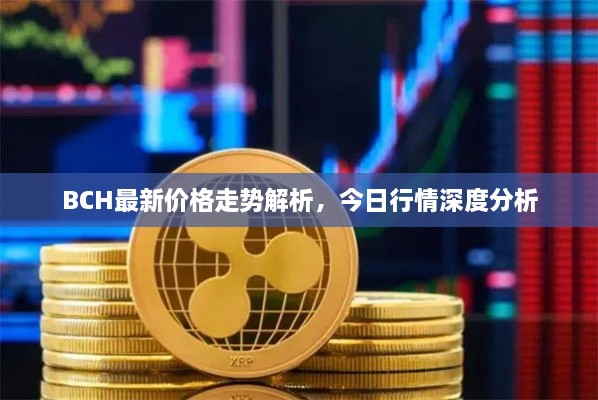 BCH最新價格走勢解析，今日行情深度分析