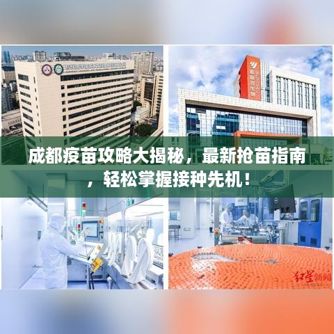 成都疫苗攻略大揭秘，最新?lián)屆缰改?，輕松掌握接種先機！