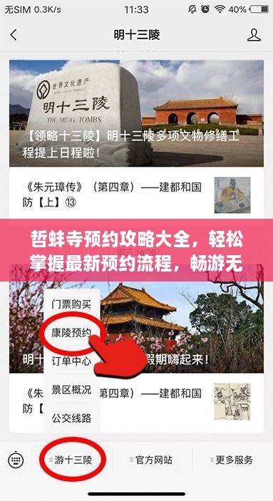 哲蚌寺預約攻略大全，輕松掌握最新預約流程，暢游無阻！