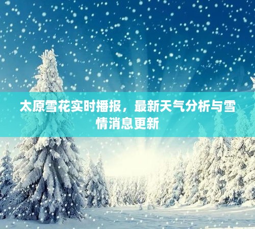 太原雪花實(shí)時(shí)播報(bào)，最新天氣分析與雪情消息更新