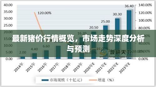 最新豬價行情概覽，市場走勢深度分析與預(yù)測