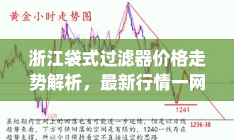 浙江袋式過(guò)濾器價(jià)格走勢(shì)解析，最新行情一網(wǎng)打盡！