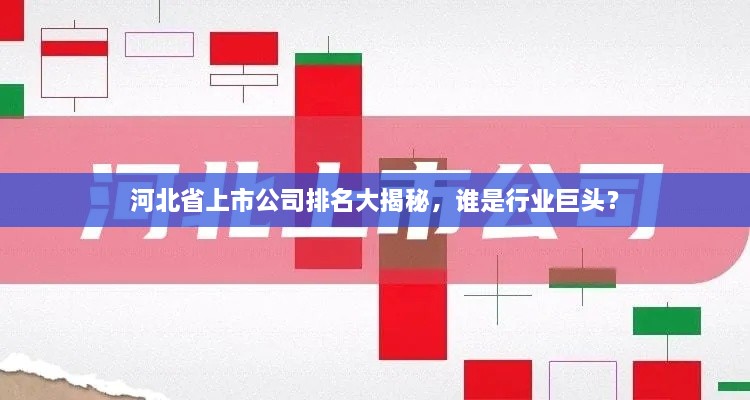 河北省上市公司排名大揭秘，誰(shuí)是行業(yè)巨頭？