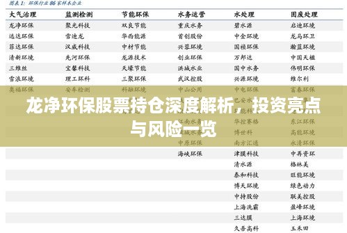 龍凈環(huán)保股票持倉深度解析，投資亮點與風(fēng)險一覽