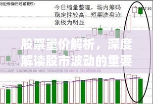 股票量價解析，深度解讀股市波動的重要指標(biāo)！