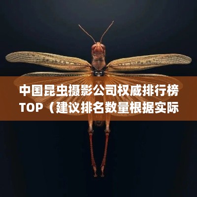 中國昆蟲攝影公司權(quán)威排行榜TOP（建議排名數(shù)量根據(jù)實(shí)際情況調(diào)整）