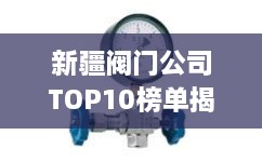 新疆閥門公司TOP10榜單揭曉，行業(yè)領(lǐng)軍者一覽無(wú)余