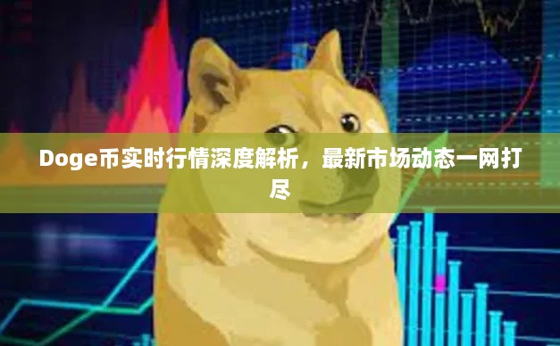 Doge幣實時行情深度解析，最新市場動態(tài)一網(wǎng)打盡