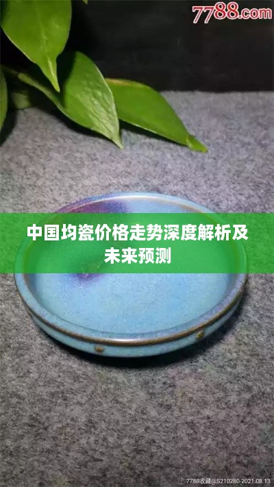 中國均瓷價格走勢深度解析及未來預(yù)測