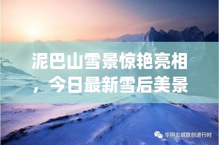 泥巴山雪景驚艷亮相，今日最新雪后美景報(bào)道！