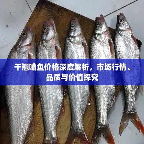 干翹嘴魚(yú)價(jià)格深度解析，市場(chǎng)行情、品質(zhì)與價(jià)值探究