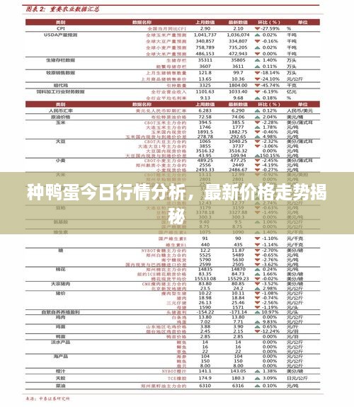 種鴨蛋今日行情分析，最新價格走勢揭秘