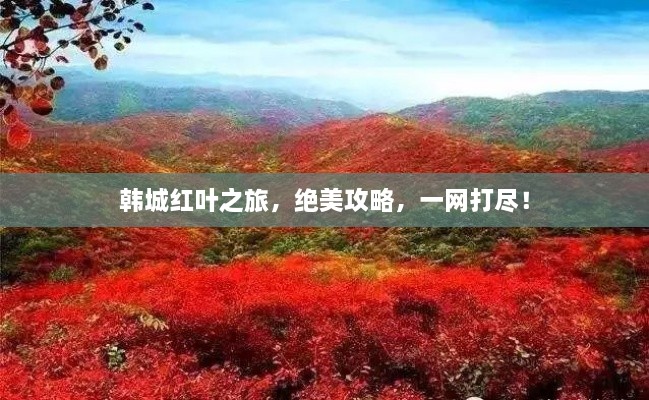 韓城紅葉之旅，絕美攻略，一網(wǎng)打盡！