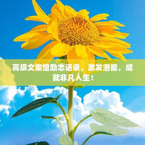 高級文案館勵志語錄，激發(fā)潛能，成就非凡人生！