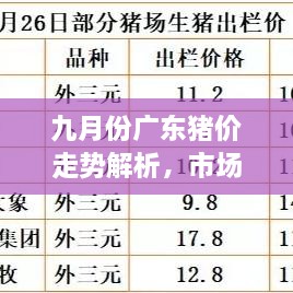 九月份廣東豬價走勢解析，市場行情、價格變動一網(wǎng)打盡