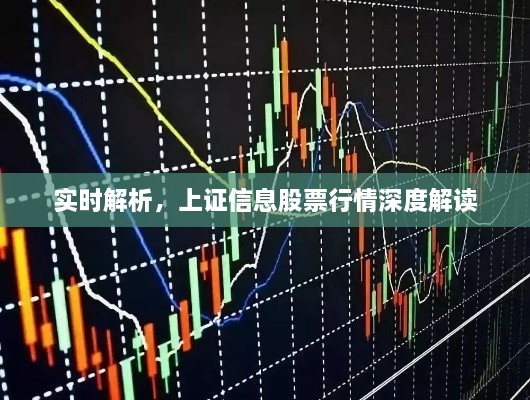 實時解析，上證信息股票行情深度解讀