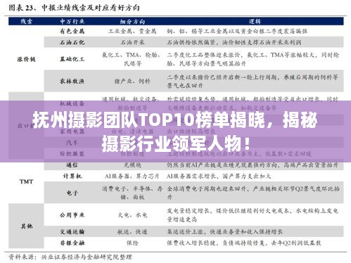 撫州攝影團(tuán)隊TOP10榜單揭曉，揭秘攝影行業(yè)領(lǐng)軍人物！